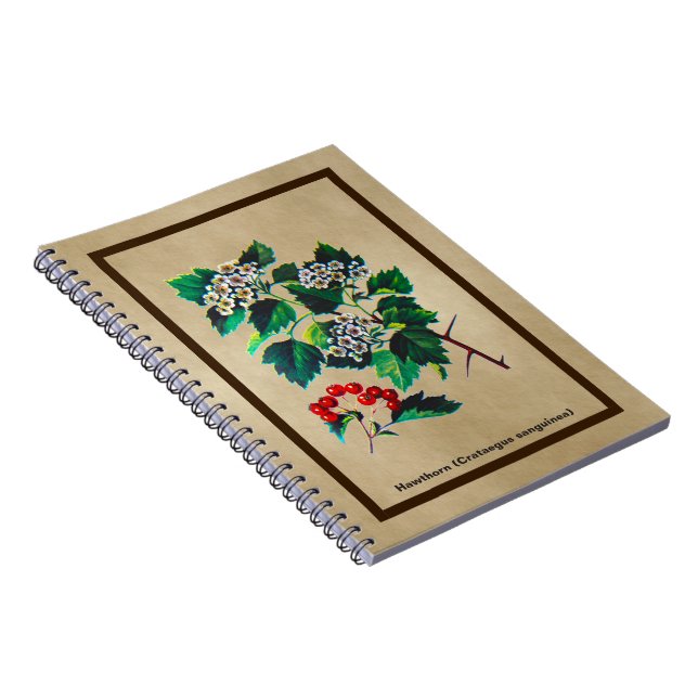 Carnet Redhaw Hawthorn sur vieux papier (Côté Droit)