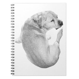 Carnet Réflexions courbes