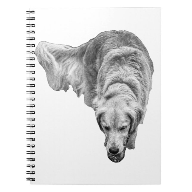 Carnet Réflexions de l'aube gelée (Devant)