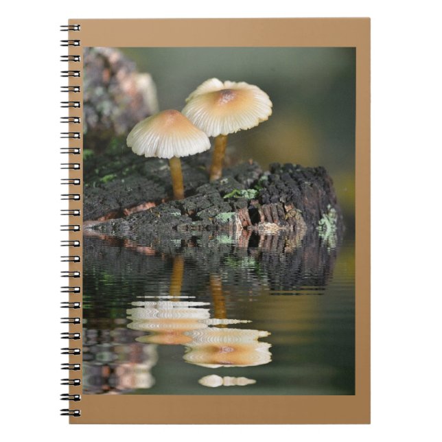 Carnet Réflexions des champignons (Devant)