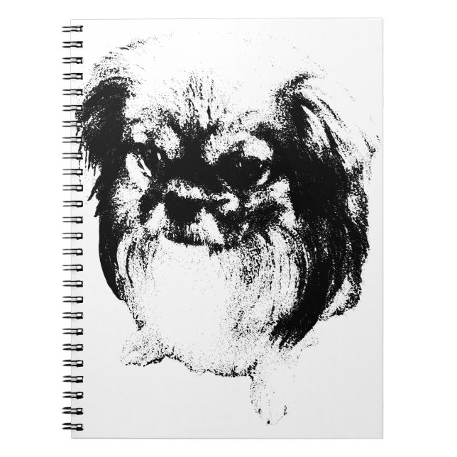 Carnet Réflexions d'un débordement (Devant)