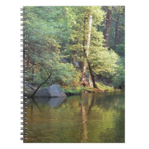 Carnet Réflexions vertes
