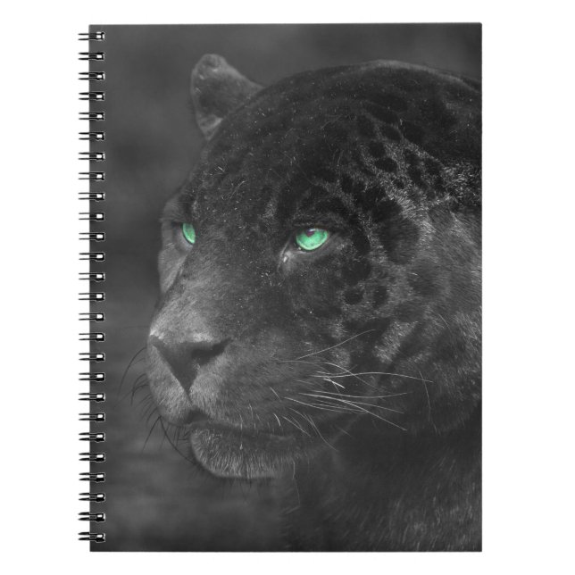 Carnet Regard d'émeraude de Jaguars noirs (Devant)