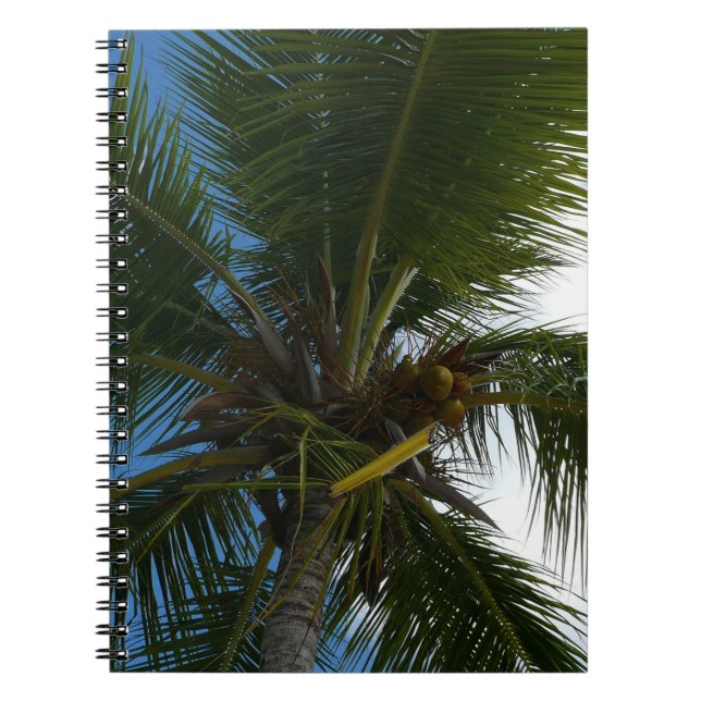 Carnet Regard sur le palmier à coco Nature tropicale (Devant)