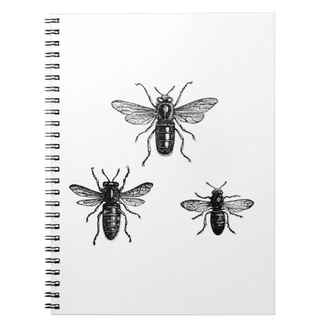 Carnet Reine des abeilles vintage et illustration (Devant)