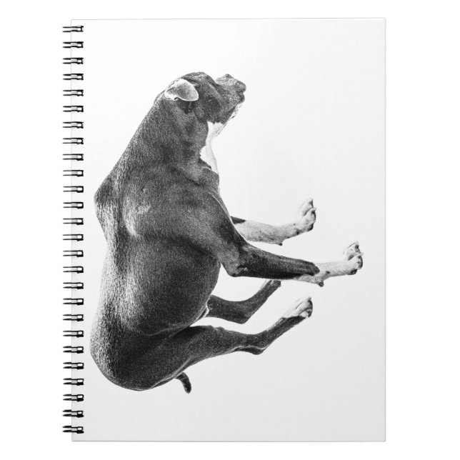 Carnet Remarques sur la veille d'automne (Devant)