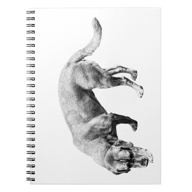 Carnet Remarques sur le sillage (Devant)