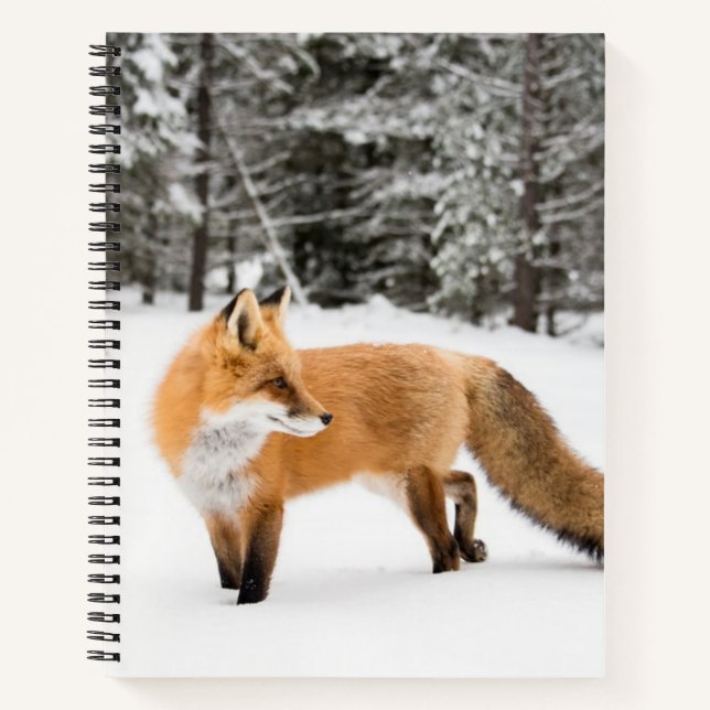Carnet Renard rouge en neige blanche (Devant)