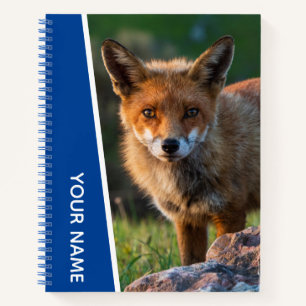 Carnet Renard roux en Australie, Bleu