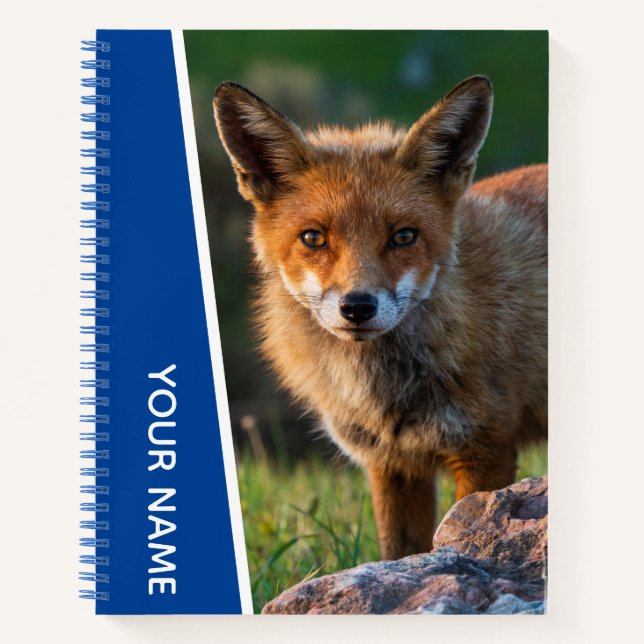 Carnet Renard roux en Australie, Bleu (Devant)