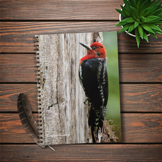 Carnet Rencontre avec un suceur à poitrine rouge (Red-Breasted Sapsucker in the Forest Journal Cover Photo)