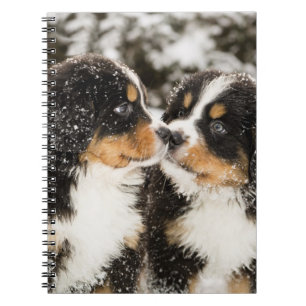Carnet Reniflement de marionnettes de chien de montagne