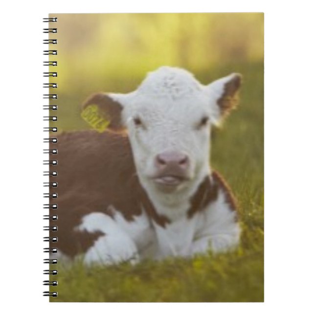 Carnet Repos de veau (Devant)