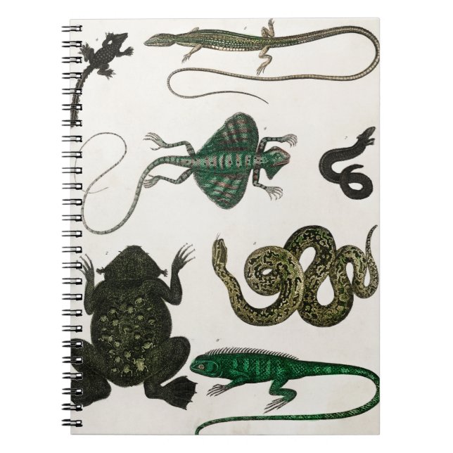 Carnet reptiles (Devant)