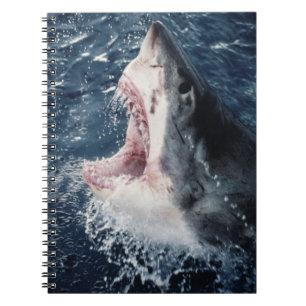Carnet Requin élevé bouche ouverte