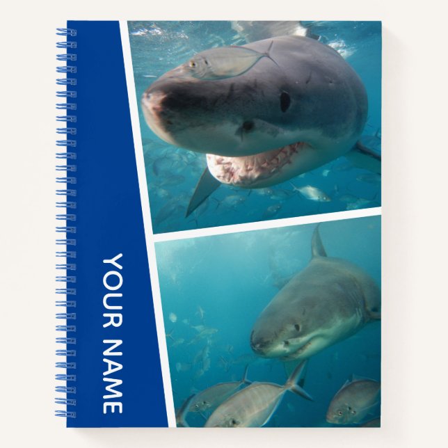Carnet Requins d'Australie Collage de photos sous-marines (Devant)
