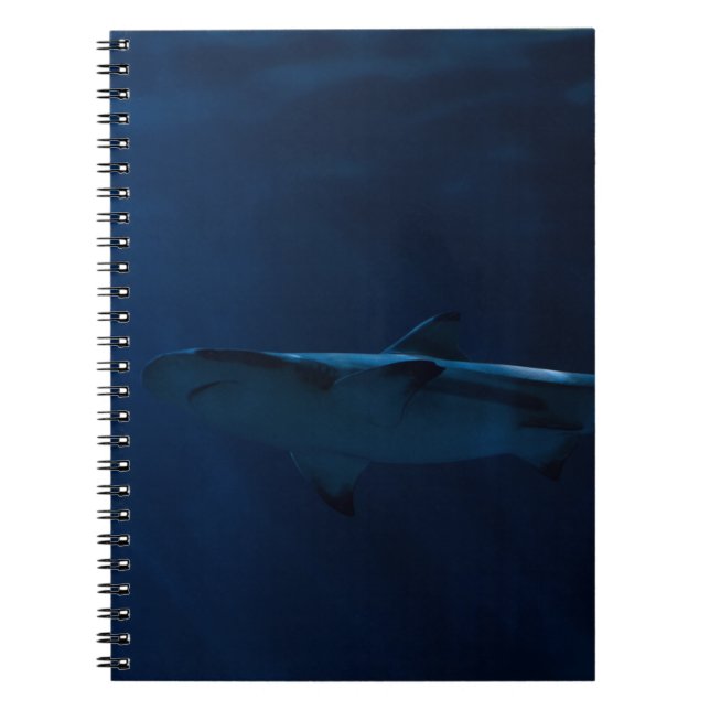 CARNET REQUINS GRAS DANS LE CORPS D'EAU (Devant)