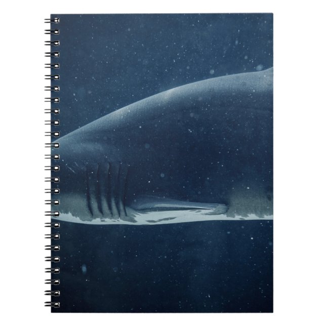 CARNET REQUINS NOIRS ET BLANCS SOUS L'EAU (Devant)
