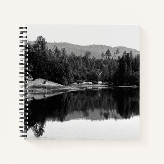 Carnet Réservoir à voilure.... (Devant)