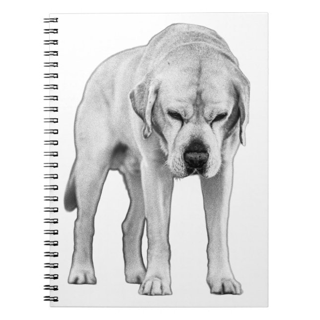 Carnet Résolution ajustée (Devant)