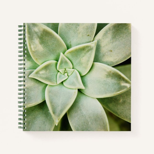 Carnet Ressort Succulent (Devant)