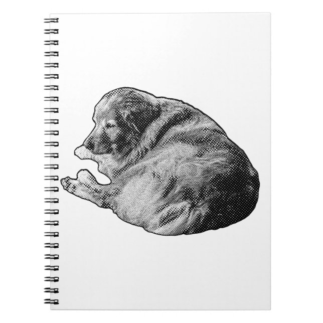 Carnet Restful Dot Dog inspire des notes de vacances atte (Devant)