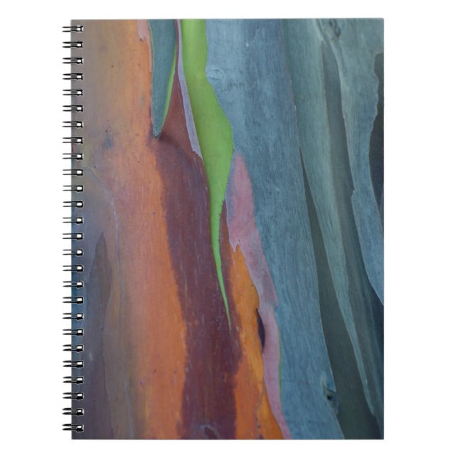 Carnet Résumé de l'arbre à gomme arc-en-ciel (Devant)