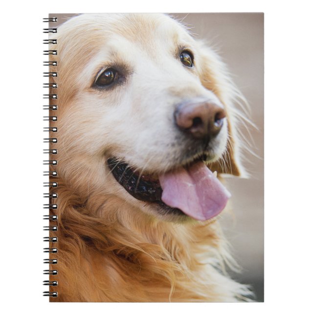 Carnet Rétife d'or, Chien, Chien heureux (Devant)