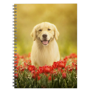 Carnet Retraite d'or en fleurs rouges