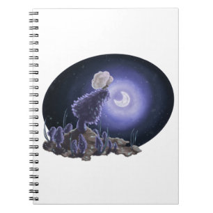 Carnet Réunion au clair de lune