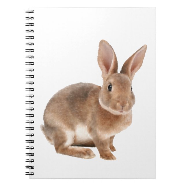 Carnet Rex lapin (Devant)