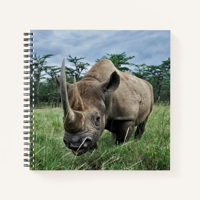 Carnet Rhinocéros noir | Kenya (Devant)