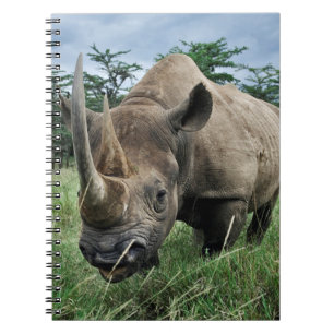 Carnet Rhinocéros noir Kenya