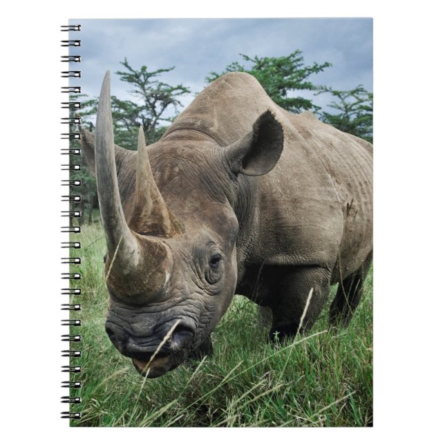 Carnet Rhinocéros noir | Kenya (Devant)