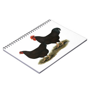 Carnet Rhode Island Red Bantams