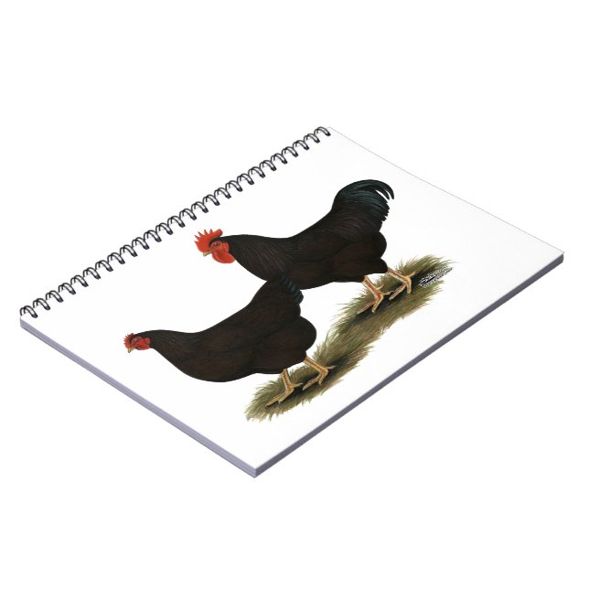 Carnet Rhode Island Red Bantams (Côté gauche)
