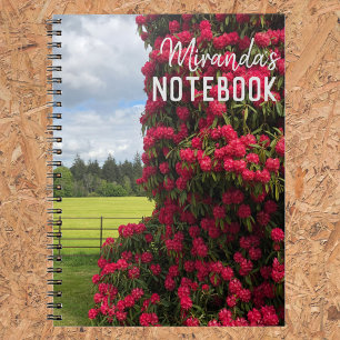 Carnet Rhododendron et vue panoramique en Écosse