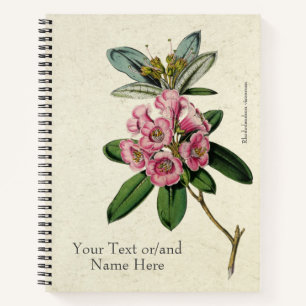 Carnet Rhododendron viscosum vintage