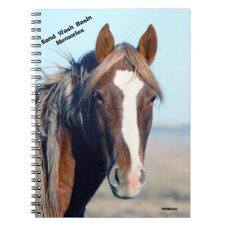 Carnet Ricochet du bassin de lavage de sable