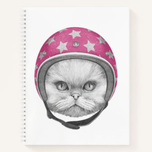 Carnet Rider en moto chats perse