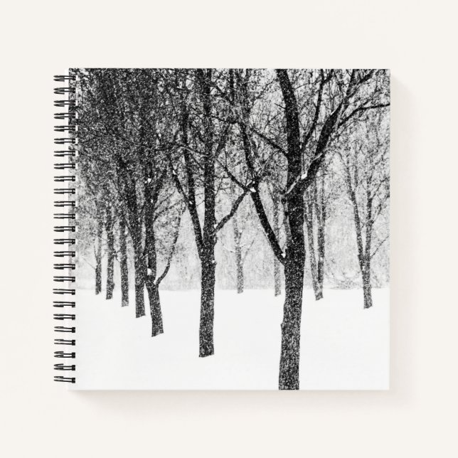 Carnet ris I side with trees (Devant)