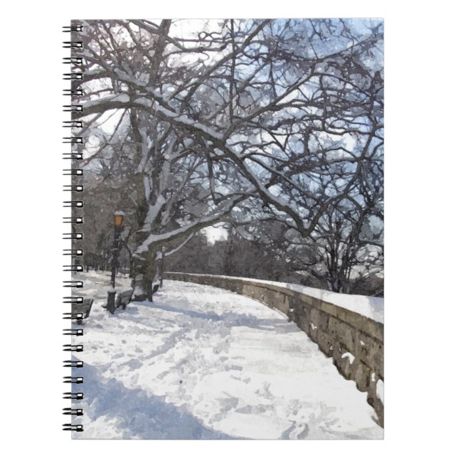CARNET RIVERSIDE PARK EN HIVER (Devant)