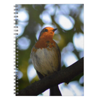 Carnet Robin