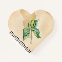 Robin de réveil à main