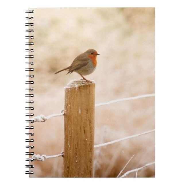 Carnet Robin d'hiver Redsein (Devant)