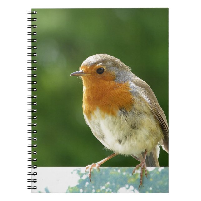 Carnet Robin rouge (Devant)