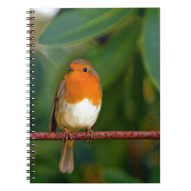 Carnet ROBIN Rouge (Devant)
