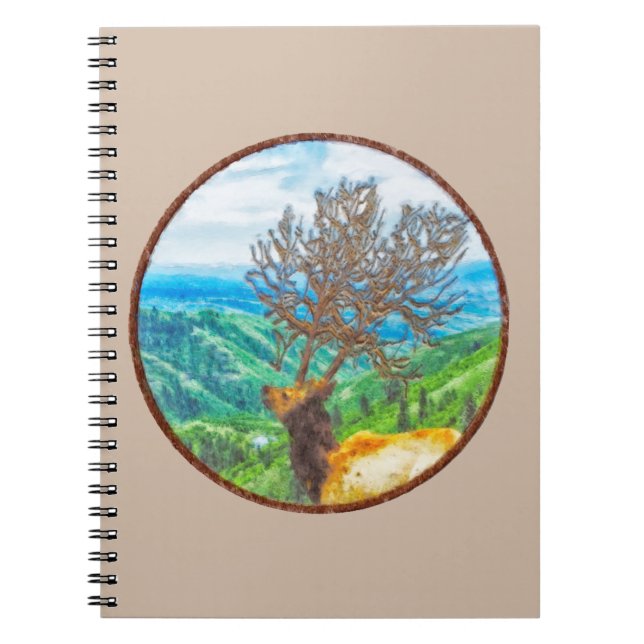 Carnet Roi Cervus (Devant)