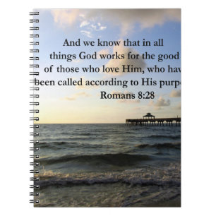 CARNET ROMAINS 8:28 BIBLE
