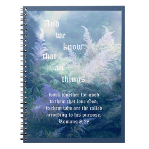 Carnet Romains de Mist Bleu Astilbe 8:28